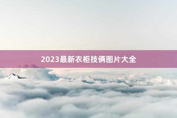 2023最新衣柜技俩图片大全