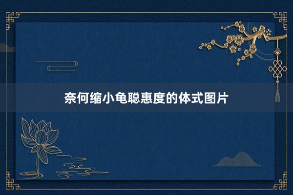 奈何缩小龟聪惠度的体式图片