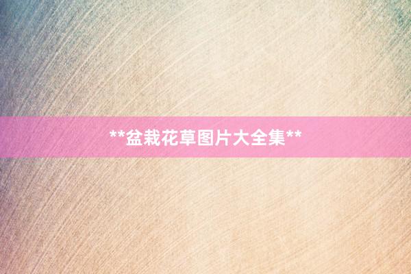 **盆栽花草图片大全集**