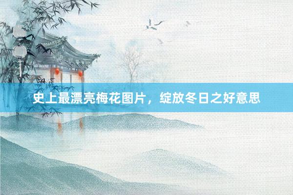 史上最漂亮梅花图片，绽放冬日之好意思