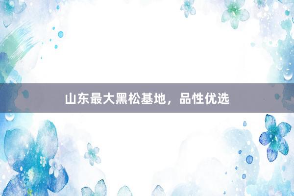 山东最大黑松基地，品性优选